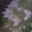 서촌 한옥에서 받은 서프라이즈 프로포즈 후기; 내 생애 또 다른 찬란한 날
