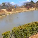 별따줄개 | 안동에서 가볼 만한 곳 하회 마을