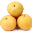 마을지기 가든 | 마을지기들이 직접 재배한 '꽃마 신고배' 맛보세요. (꽃마화요소식-10월4주)