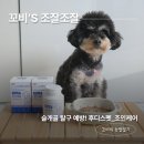 조인케어 | 강아지 슬개골 탈구 예방! 후디스펫 조인케어로 관절 건강 챙겨본 찐후기