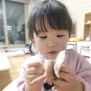 채은농장 Daum카페