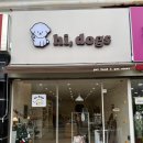 하이독스 이미지