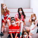 덤덤 - 유성구 | 덤덤