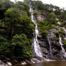 세교동사무소 앞 이미지