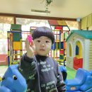 핀꽃