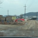 통나무집사람들 | [통나무집사람들] 태안 게국지 맛집 | 양념게장 후기