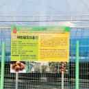 미림농장영농조합법인 이미지