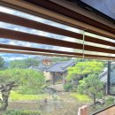 [2박3일 경주&amp;포항여행] DAY2 경주 포항 가볼만한 곳 ::: 불국사 / 경주양동마을 / 포항죽도시장 외