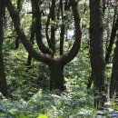 사하구-16 이미지