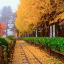 호반도시 춘천 여행 이미지