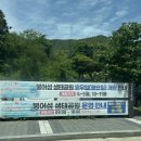 임실엔치즈피자 월성점 | 광주 근교 임실 &#39;옥정호 출렁다리 붕어섬&#39; 작약꽃, 양귀비꽃 5월 주말 방문 후기