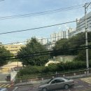 위파티정육