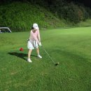 럭키버디 | 딜팡 15주년 딜팡잭팟! 딜팡럭키박스 단돈1만원에 미즈노 아이언세트가?! 역대급 라인업 럭키박스 후기