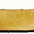 시목스테이 이미지