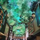 미디어아트<오로라를 이미지