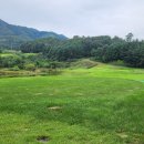 올데이 옥스필드 | ⛳ 횡성 올데이 옥스필드 cc 라운딩 후기
