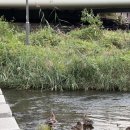 (주)포스리드 | 일상 | 작은 마음 모아