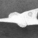 가재미로 이미지