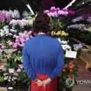 내일농수산 이미지