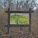 고려청자 | [전남 화순] 모후산 겨울 산행의 묘미와 부안 고려청자 휴게소 솔직 식사 후기