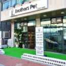 팬더애견샵 이미지