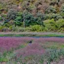 소노카페 오토캠핑장 이미지