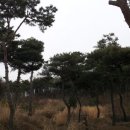 보두농장 네이버블로그