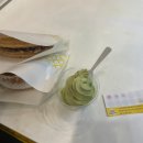 와플대학제주삼화캠퍼스