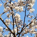 동북아파트 입구 이미지