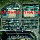 대덕초등학교 담장 네이버블로그
