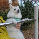 가온동물의료센터 이미지