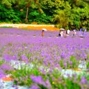 금호우방아파트 이미지