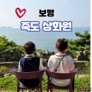 보령 죽도 상화원 회랑을 걷는 산책길 ft. 입장료 주차 팁