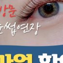 노브살롱