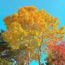 서울매헌초등학교 | 양재 코코필라테스 | Before &amp; After 코코쌤 레슨 수업후기 모음