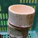 주식회사 한국대나무 이미지