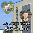 빌리지 피어 이미지