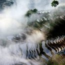 하늘계단 이미지