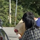 대전밧데리특별할인매장