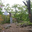 행산식당 이미지