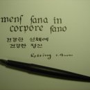 Rotring Artpen 1.9mm 로 영문자... 이미지