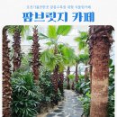 회초천 | 포천가볼만한곳 팜브릿지 feat 광릉수목원 근처 대형 식물원 카페