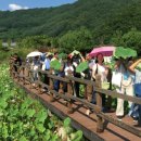 냇강마을 이미지