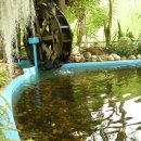 안산 식물원 이미지