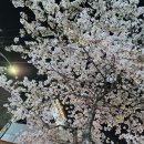 신혼여관 이미지