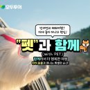 메가투어주