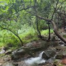 청계 맑은숲공원 | 계곡에 발 담그기 / 청계산맑은숲공원, 장수촌 청계점, 카페 청이당