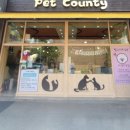 빛나개살롱 이미지