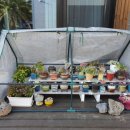 밧돌 펜션 하우스 이미지