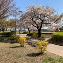 대창목재 이미지